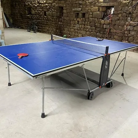 Villa Casariou Les Bernards Grande Batisse 12p Avec Cheminee Bain Nordique Billiard Piscine *